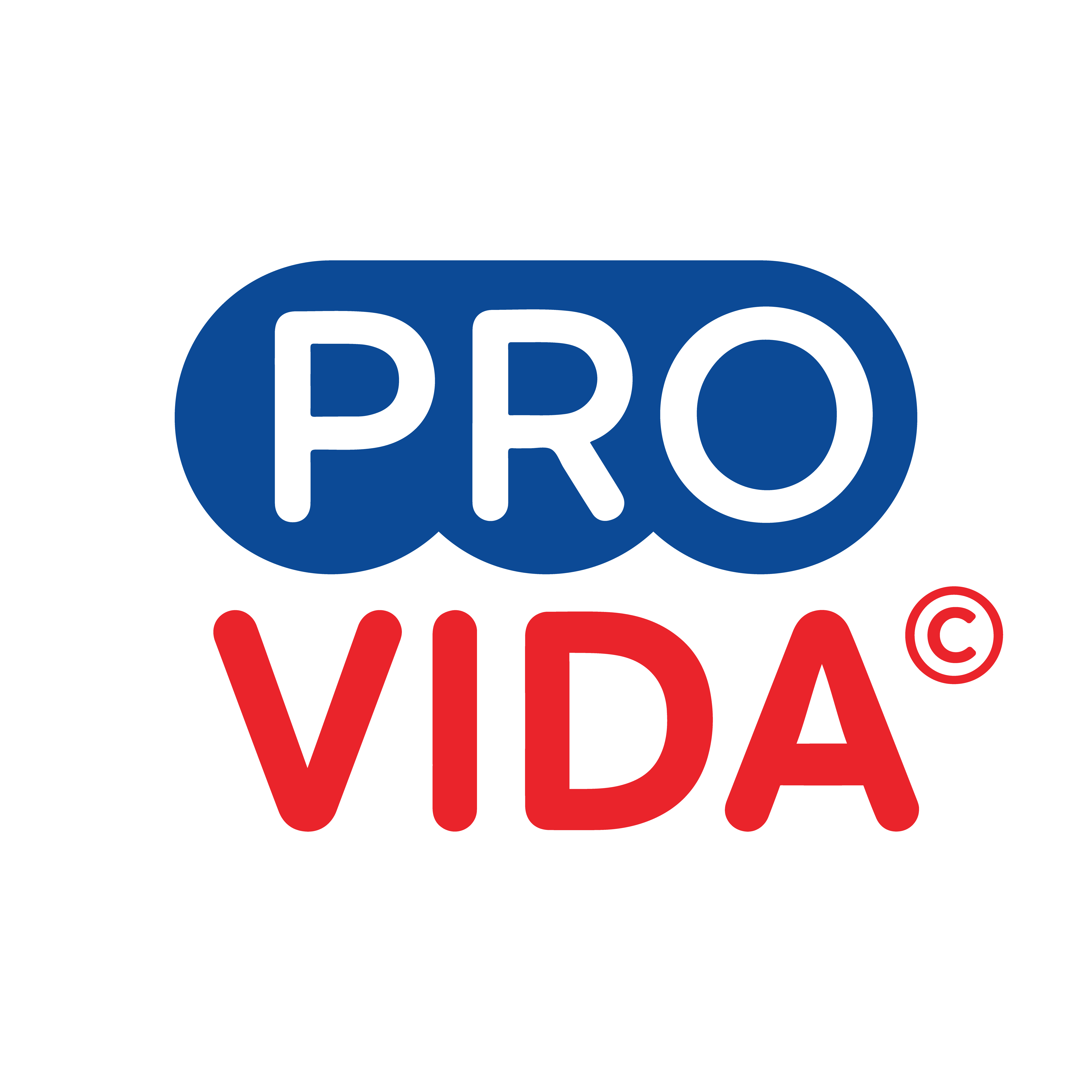 Phoenixtek 24,000bph PET water line successfully Commissions 24,000 BPH PET Bottled Water Production Line in Southeast Asia